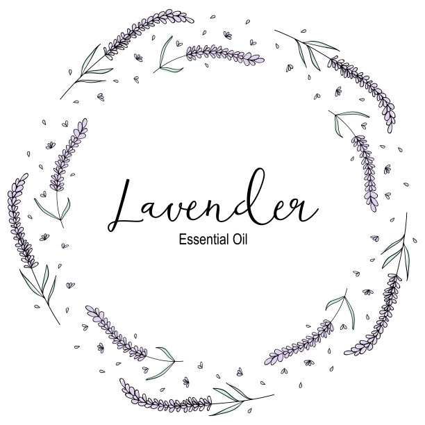 花环。薰衣草花和花瓣与样本文本在中心。图片下载