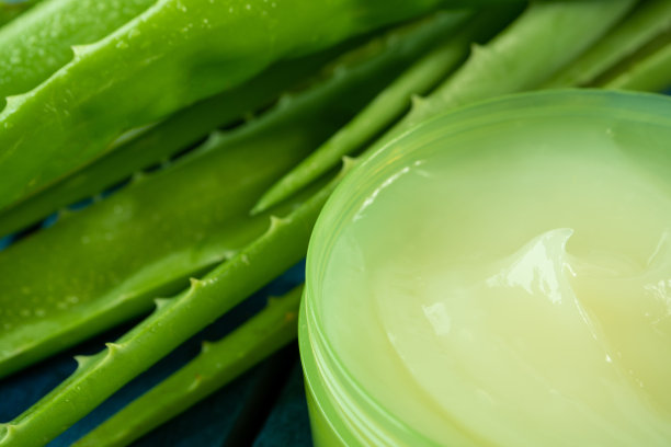 接近芦荟叶芦荟凝胶图片下载