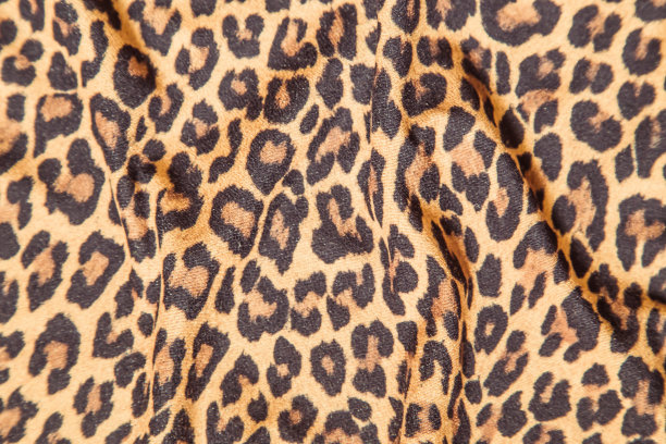 豹纹效果面料图案背景样本豹纹无缝背景图片下载