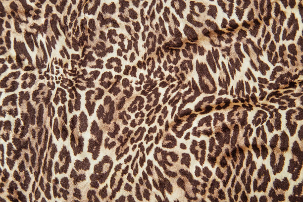 豹纹图片豹纹图像布纹纹理图片下载