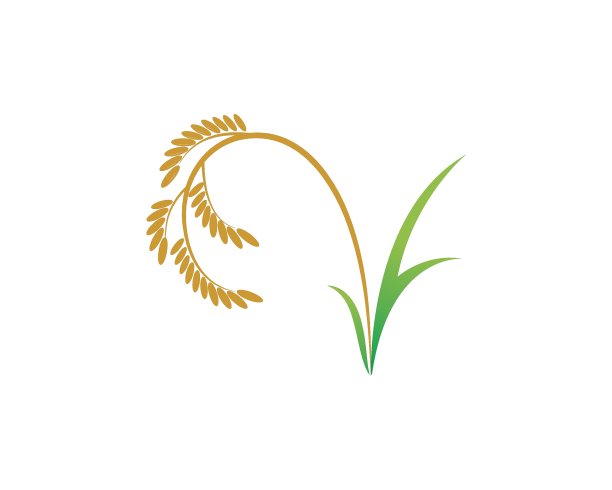 水稻有机矢量图标插图图片下载