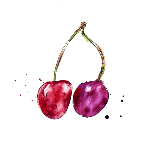 水彩红色多汁樱桃。草图。手绘食物插图。图片下载