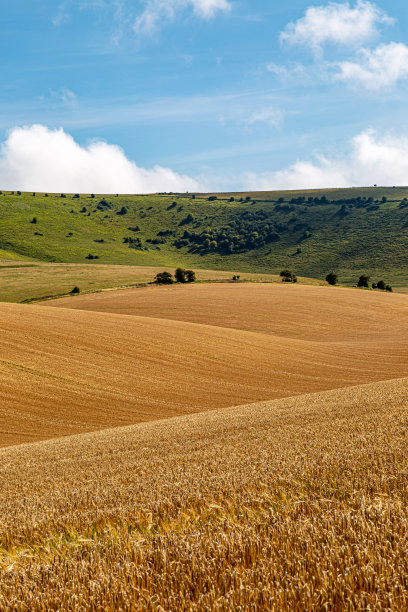 南唐斯夏季景观图片下载