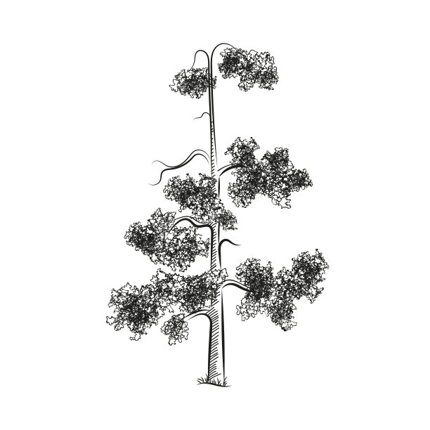 ÐÐµNÐ°NN图片下载