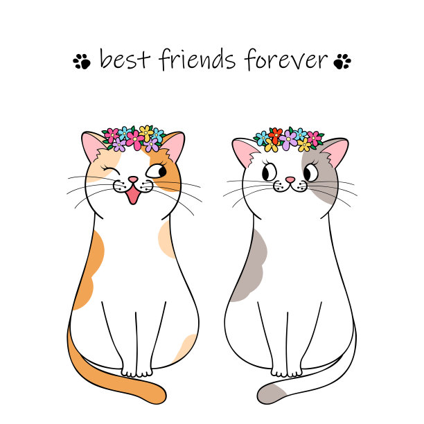 可爱的猫的性格图片下载