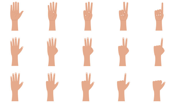 手势图标设置在平面风格。手掌和手腕。一，二，三，四，五指矢量插图在白色的背景图片下载