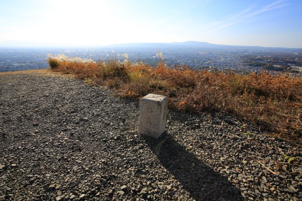 若草登上了最高的标志图片下载