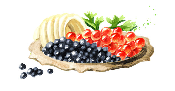 盘子里有黑色和红色的鱼子酱。水彩手绘插图孤立的白色背景图片下载