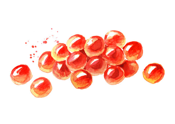红鱼子酱。水彩手绘插图孤立的白色背景图片下载