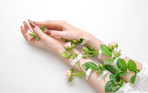 美丽的女性手与粉红色的玫瑰花孤立。概念图片下载