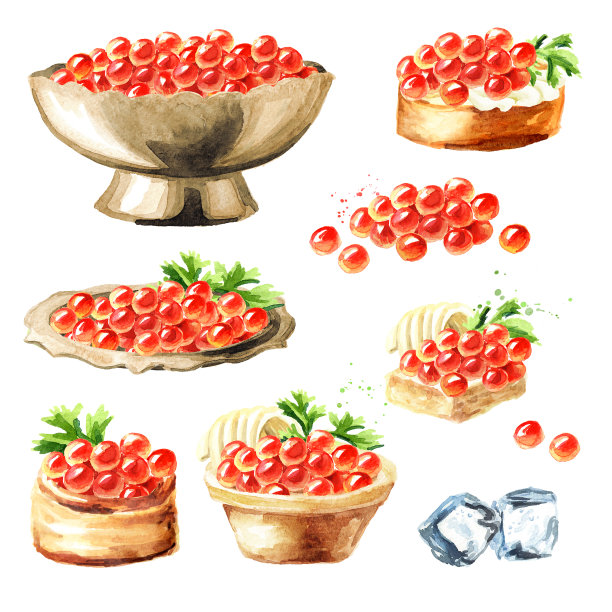 红鱼子酱。水彩手绘插图孤立的白色背景图片下载