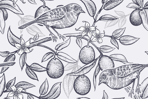 一只小鸟停在柑橘树上。无缝模式。图片下载