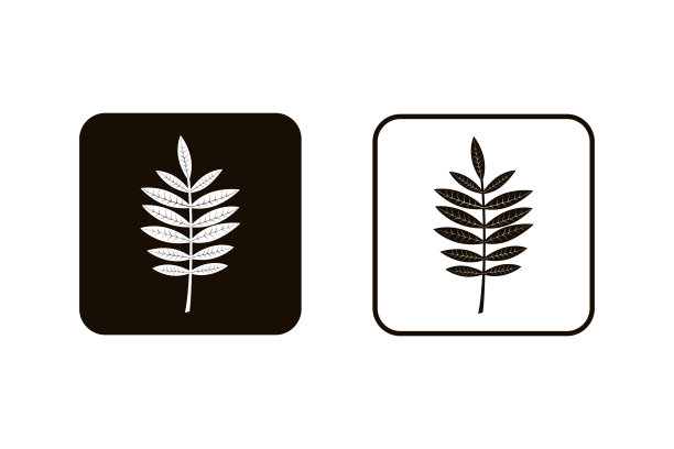 秋天的叶子图标剪影在白色和黑色的背景图片下载