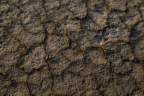 龟裂的地球的全帧照片，黑白的龟裂的地球的全帧照片图片下载