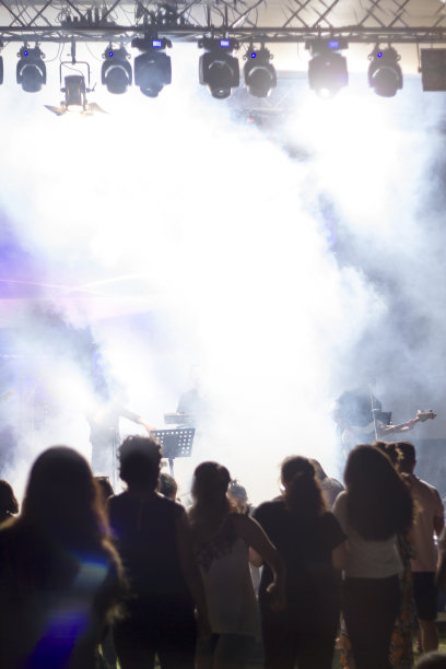 在音乐节上的人群图片下载