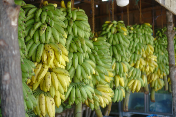 香蕉在亚洲市场上出售。户外售卖素食水果。库存图片图片下载