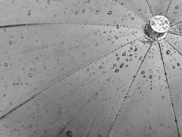 黑色伞上水滴的纹理图片下载