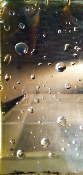 美丽的水滴躺在玻璃杯里图片下载