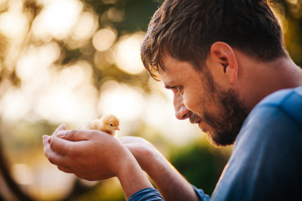 拿着鸡的年轻人图片下载