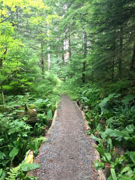 徒步旅行路线图片下载