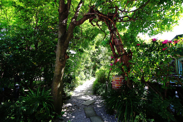 夏季绿色花园入口图片下载