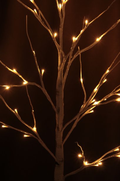 圣诞节的照片图片下载