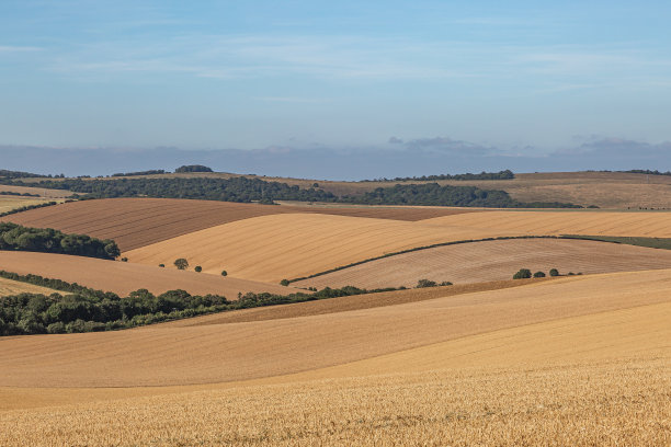 苏塞克斯夏天的风景图片下载