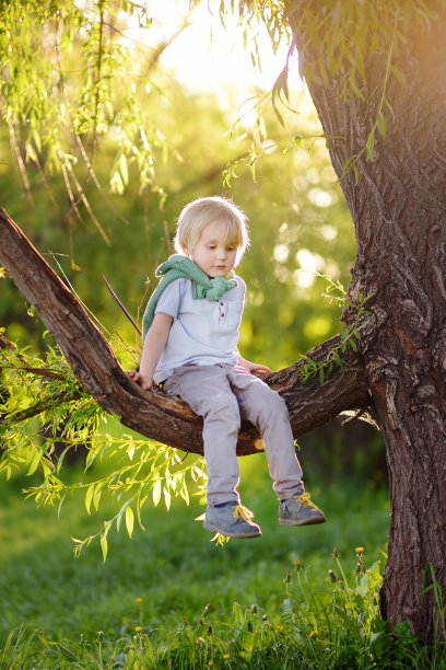 小男孩坐在一棵大树的树枝上做梦。孩子的游戏。与家人一起享受大自然。图片下载