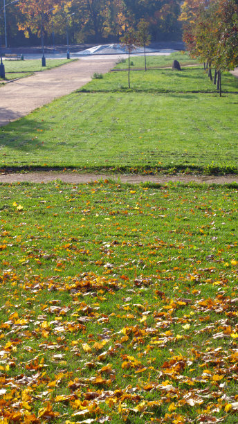 秋天在公园图片下载