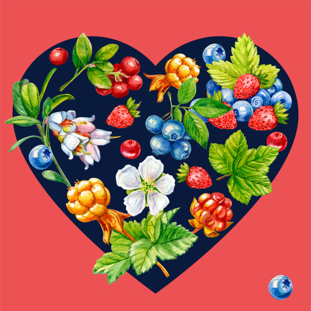 心的浆果图片下载