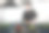 男厨师在厨房里准备蔬菜图片下载