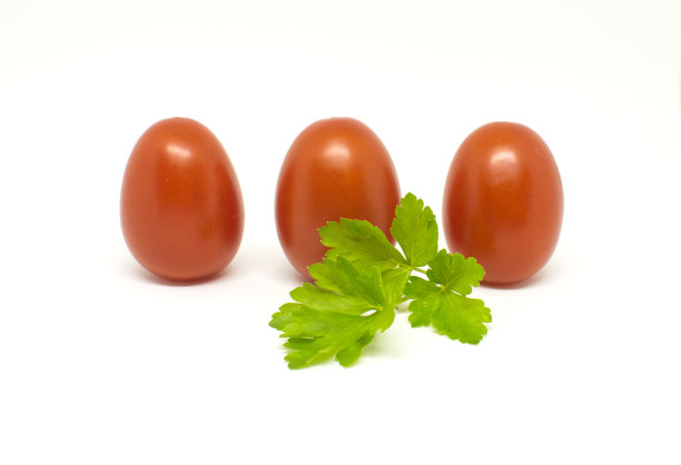 白色背景上的红色番茄。绿色的香菜图片下载