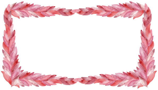 水彩手绘，矩形框架，浪漫的热带花卉图案玫瑰花瓣孤立在白色的背景。植物插画为美丽的婚礼邀请设计。图片下载