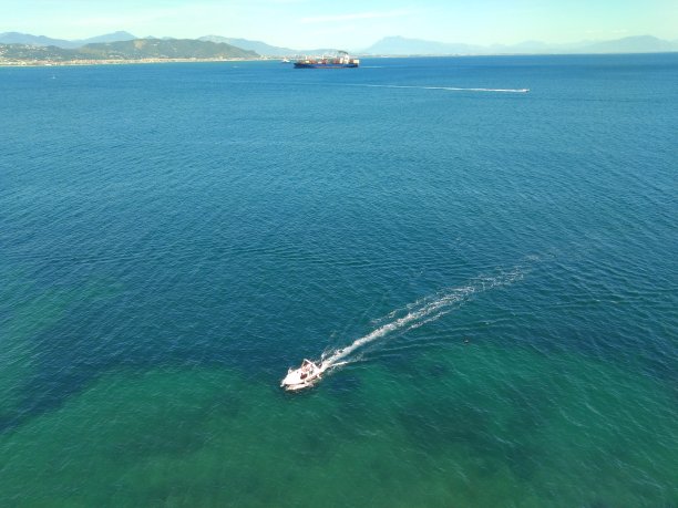 从海上来的新婚夫妇图片下载