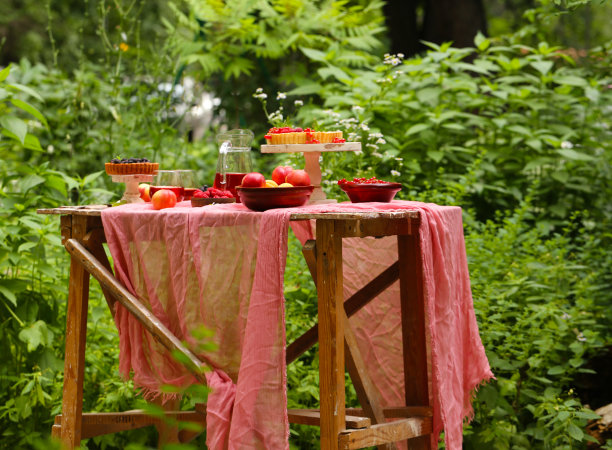 在本质上野餐图片下载