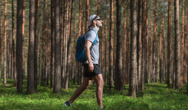 一个背着背包的男人走在美丽的森林里。图片下载