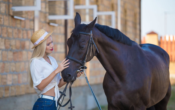 女人和马。近距离图片下载