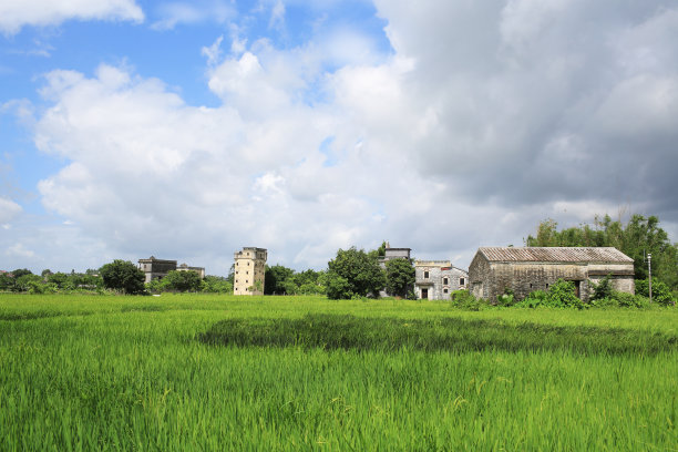 地平线上的中国老城与塔在田野图片下载