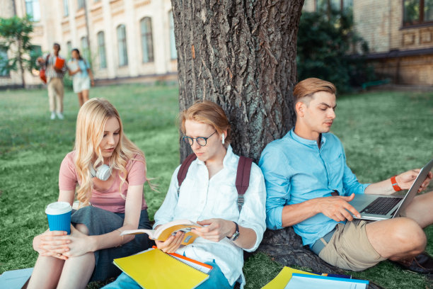 三组同学在大树下学习。图片下载