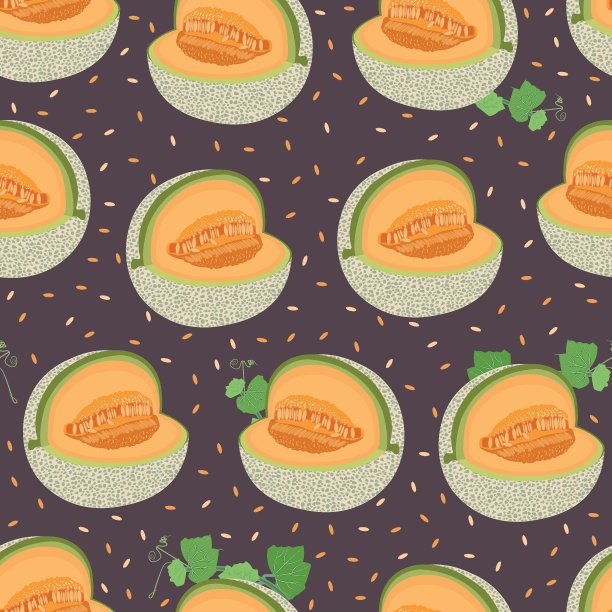 甜瓜切面无缝花纹上带籽棕色背景，鲜哈密瓜花纹背景，果实矢量插图。图片下载