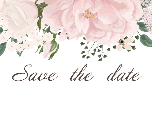 婚礼请柬用花牡丹和叶，水彩，孤立上白。图片下载