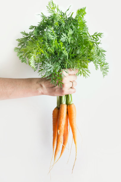 女性手握成熟的有机胡萝卜与顶部。图片下载