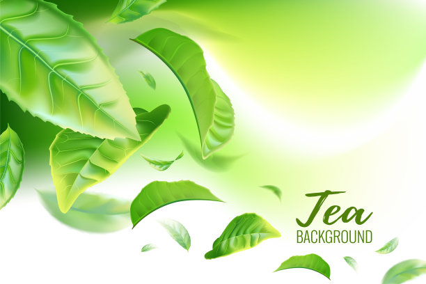 现实的绿茶背景广告海报。矢量图图片下载