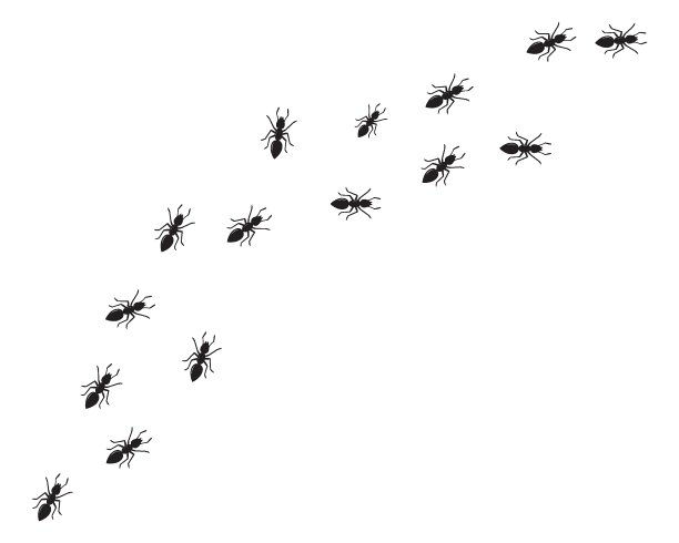 蚂蚁标志图标矢量插图设计图片下载