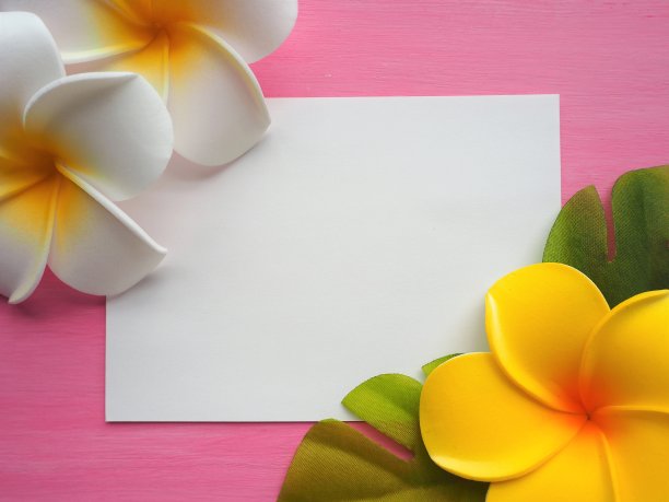 白色的复制空间与人工鸡蛋花框在粉红色的木制背景图片下载