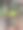 后院图片下载
