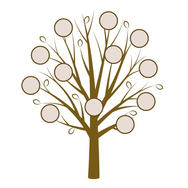 系统树。人类的家谱概念图片下载