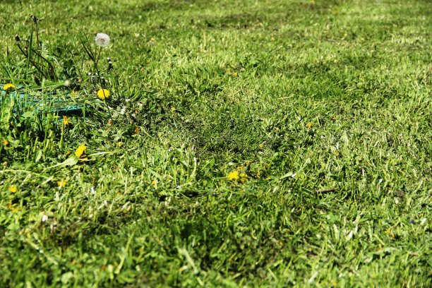 割草，城市公用事业的工作。城市草坪，大城市生态图片下载