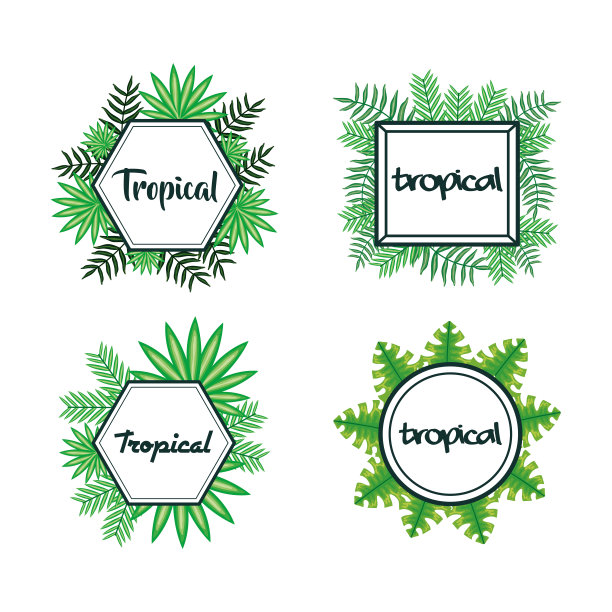 一套框架与热带树叶图片下载