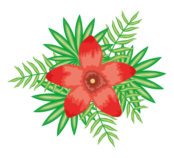 热带花和叶植物图片下载